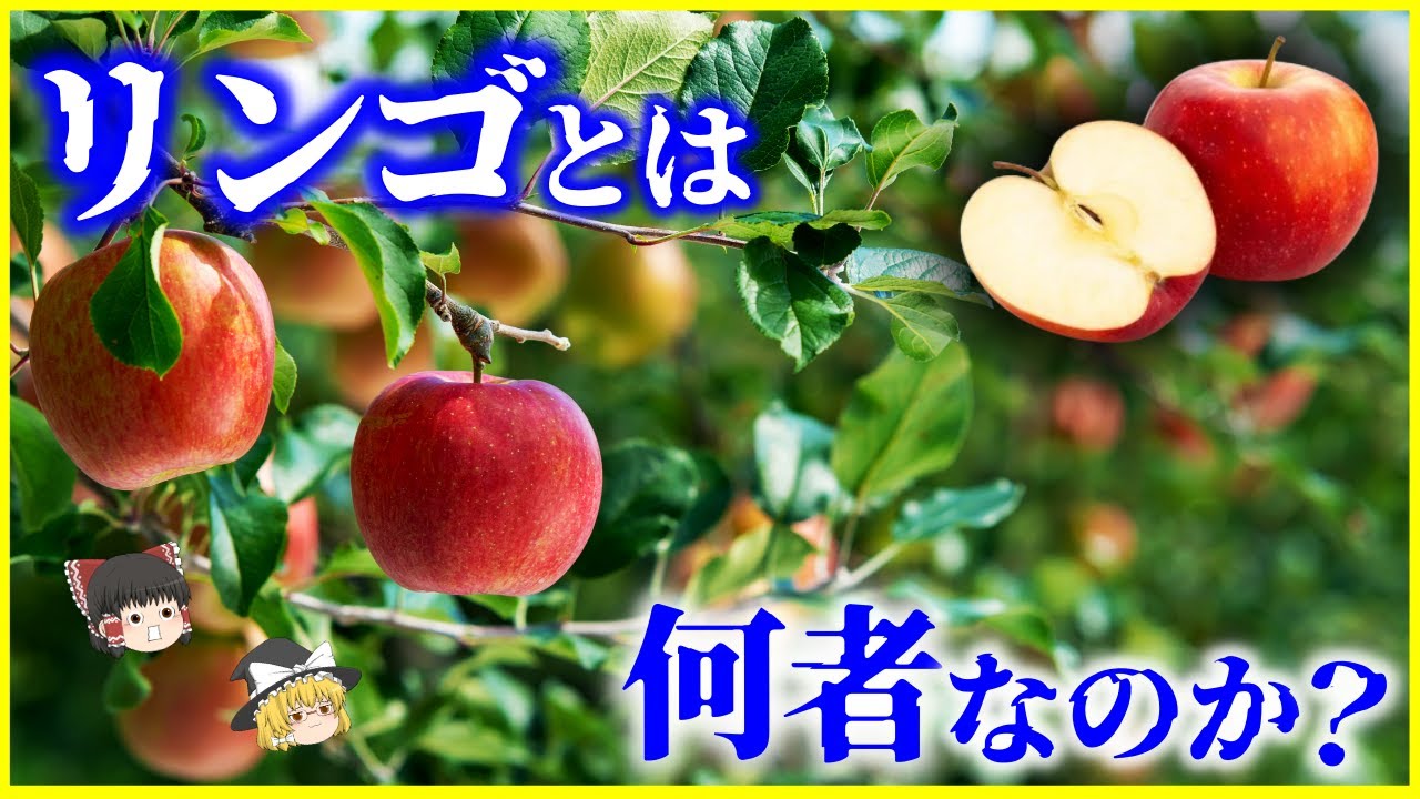 【ゆっくり解説】日本の”ふじ”が世界一の理由…「リンゴ」とは何者なのか？を解説/エグい数の種類…林檎が“異常な果物”と呼ばれる理由
