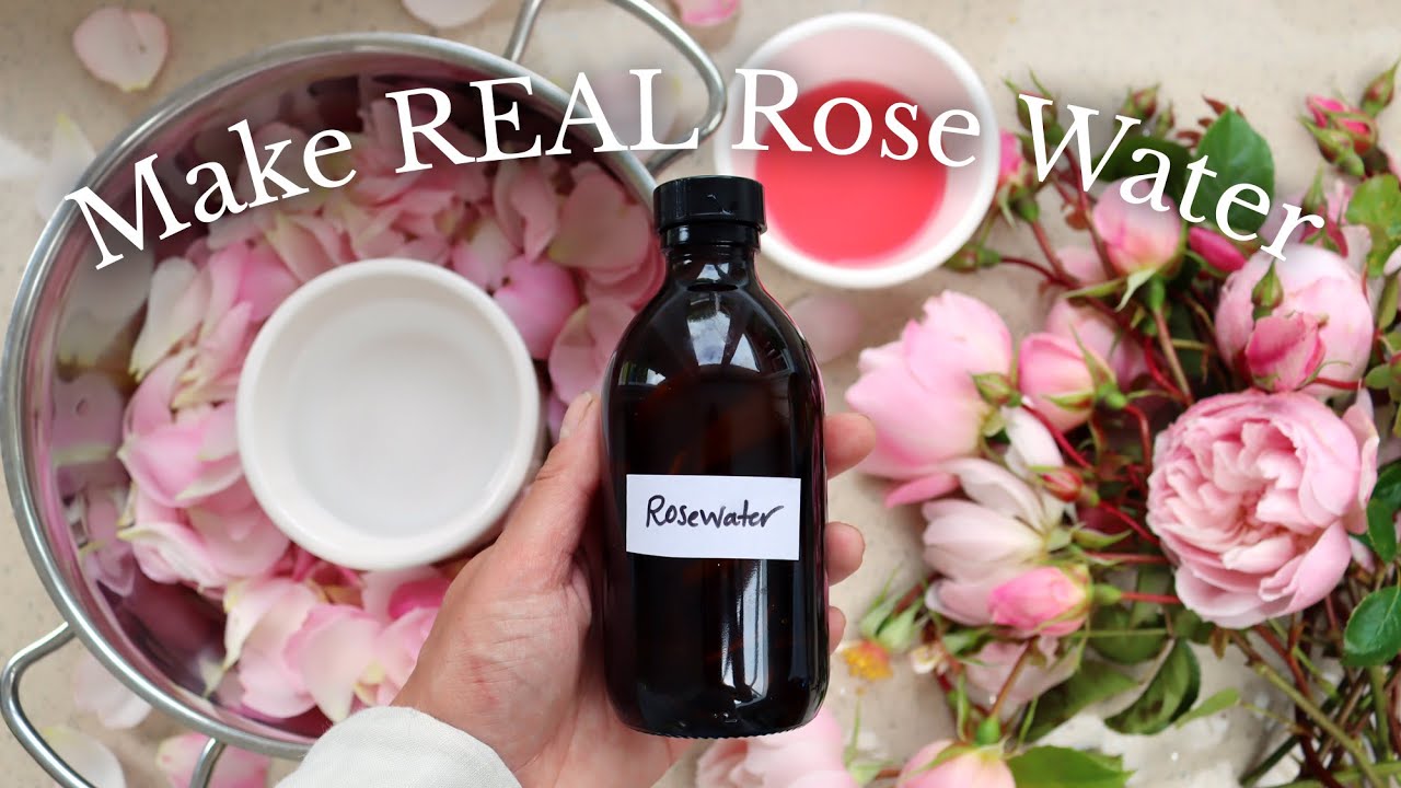 How to Make Rose Hydrosol at Home (DIY Rose Water)