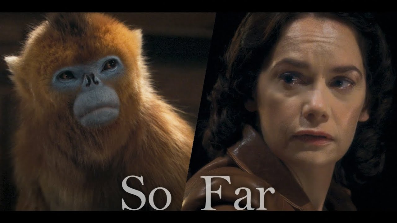 Mrs Coulter & The Golden Monkey | So Far