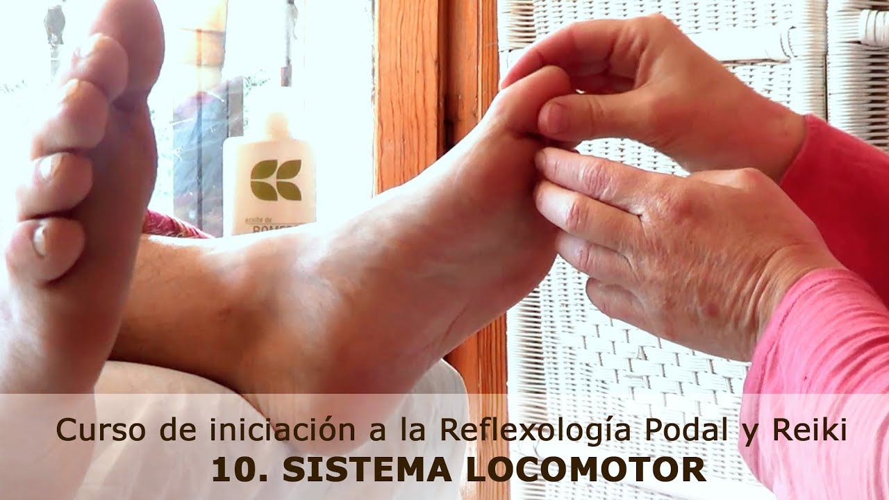 10. Curso de Reflexología Podal y Reiki: sistema locomotor