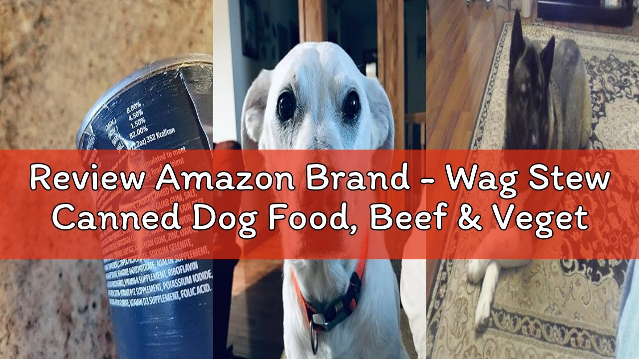 Review Amazon Brand - Wag Stew Canned Dog Food, Beef & Vegetable Recipe, 13.2 oz Can (Pack of 12)