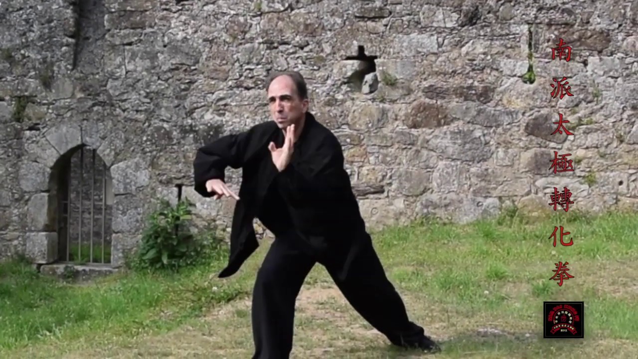NAM PAI TAIJI LIE FA (南派太極挒法), Shifu Tony Rey García, Viena-2019