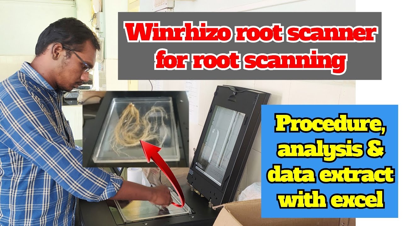 Epson winrhizo root scanner for root scanning |  Analysis and data extraction with notepad &excel