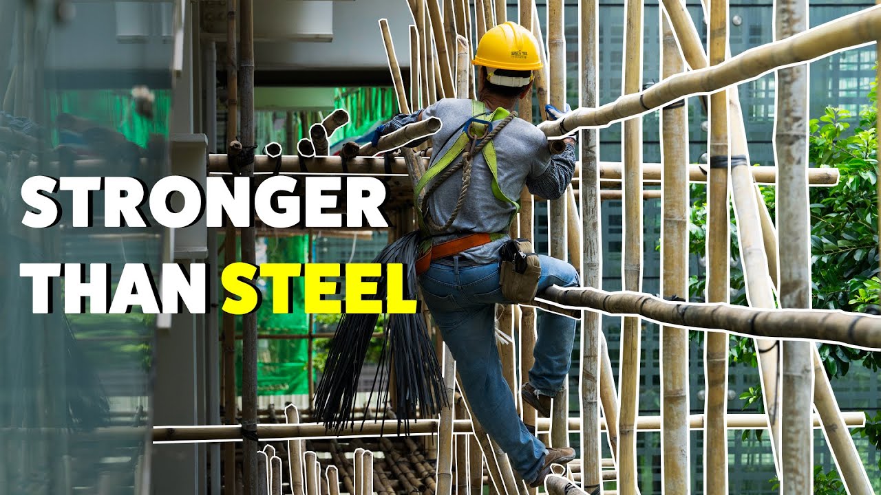 Бамбук: почему инженеры заменяют сталь и пластик этой травой