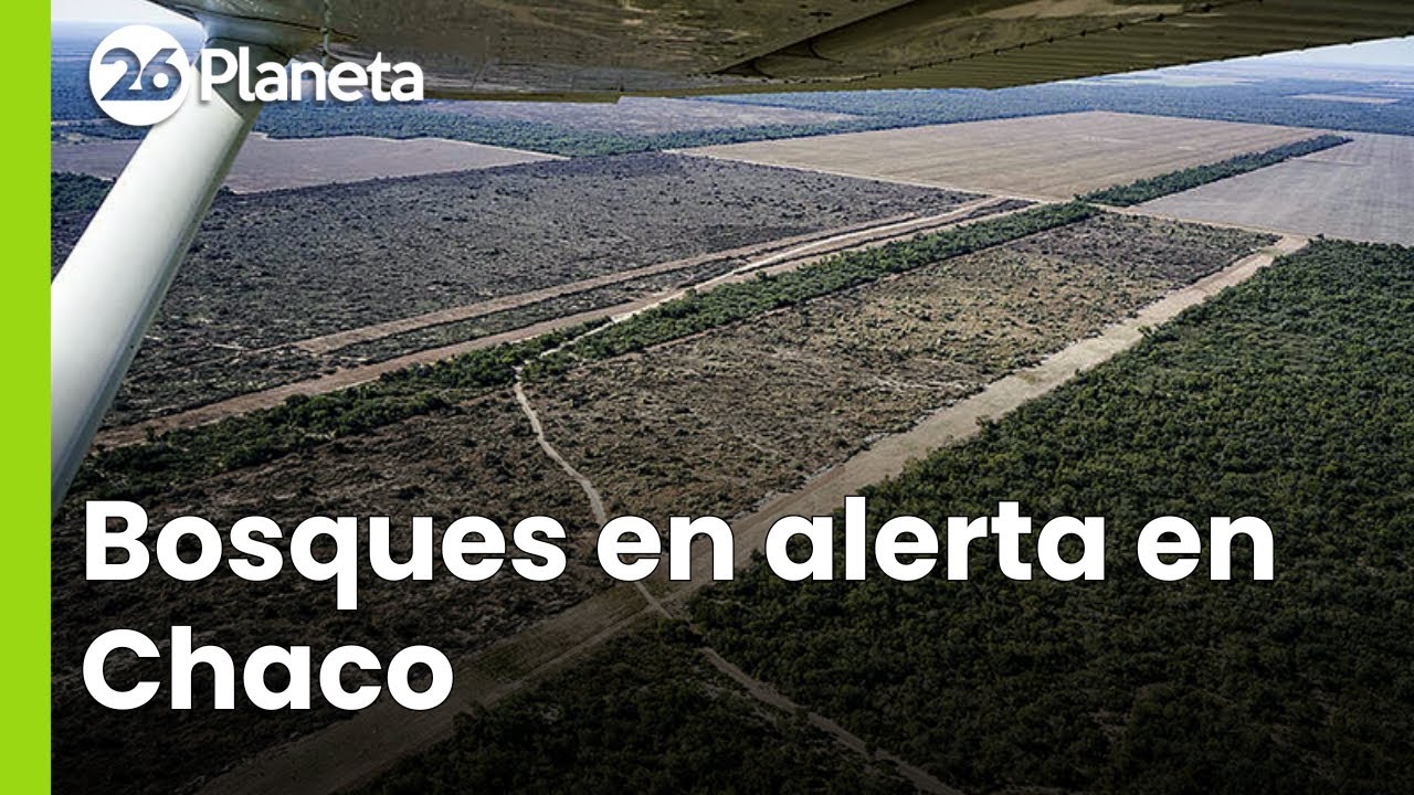 Chaco actualiz&oacute; su ordenamiento territorial de bosques nativos | #26Planeta