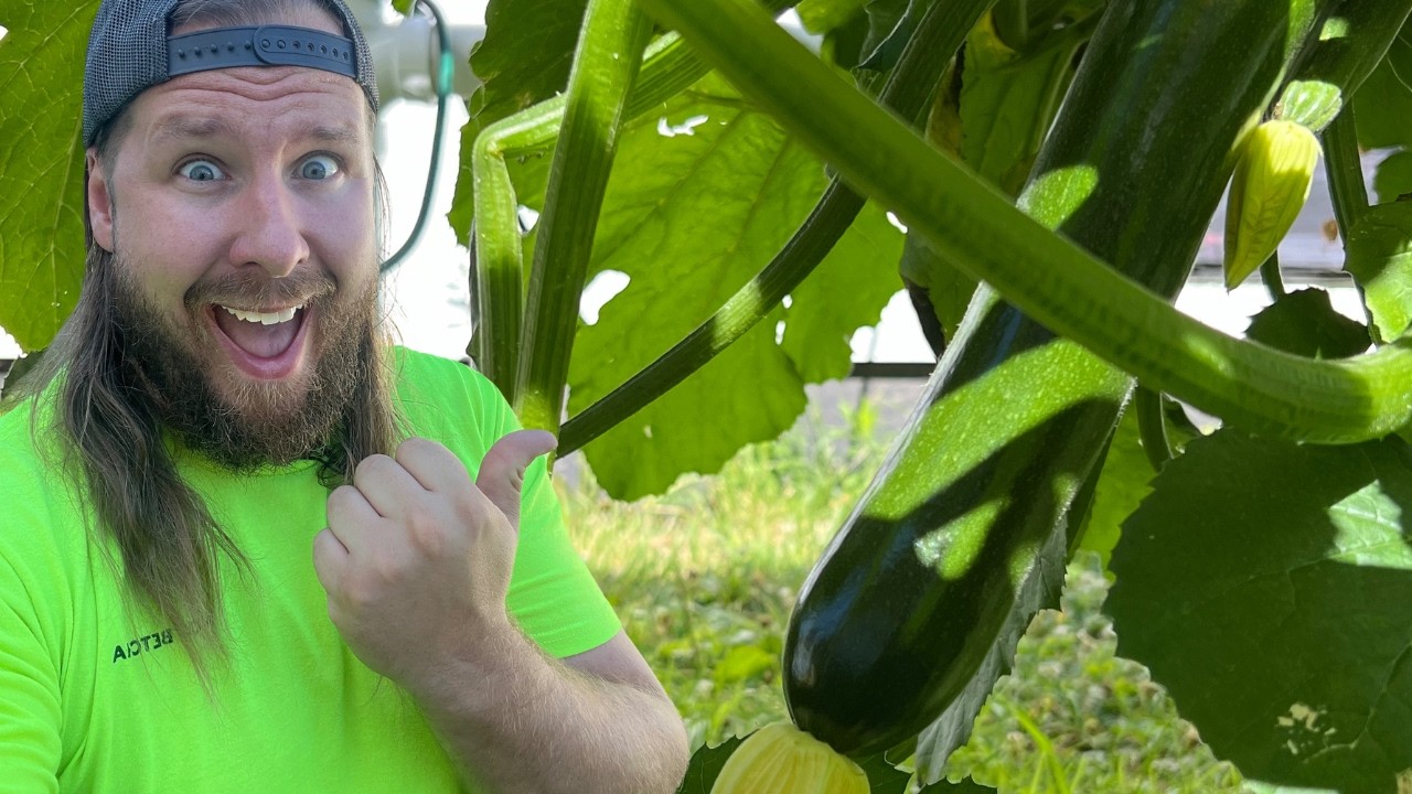 How to mix nutrients for Hydroponics. (SUPER EASY)