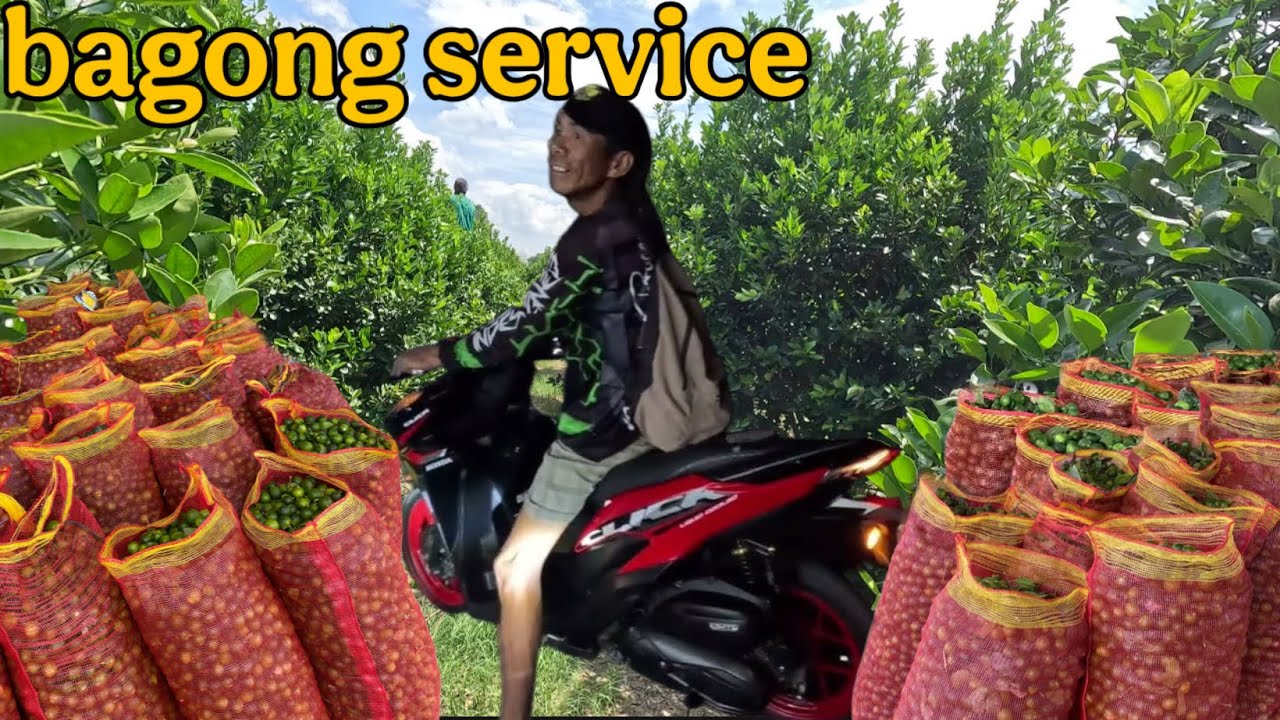KATAS NG KALAMANSI NAKAPUNDAR AGAD SI KUYA RODEL 