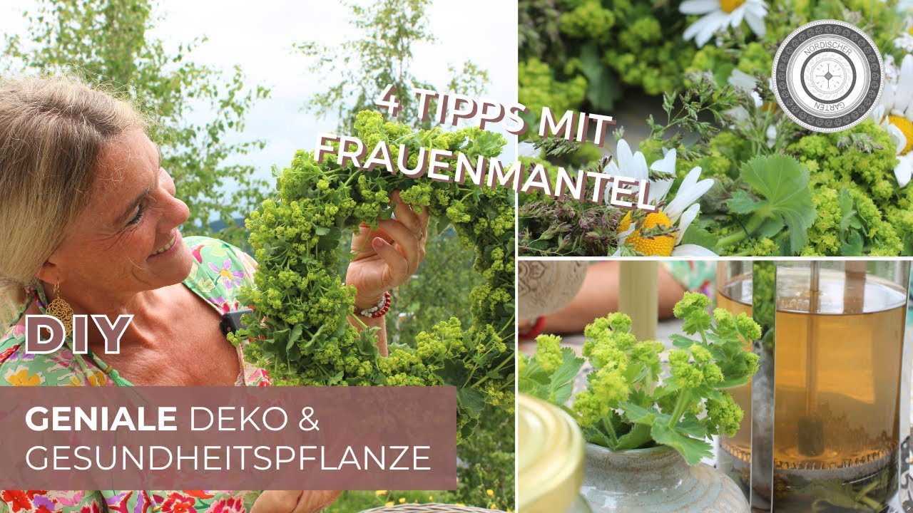 DIY - EASY SOMMERDEKO + GESUNDHEITSPFLANZE - Frauenmantel, Heiltee & Tinktur, meine Tipps & Tricks