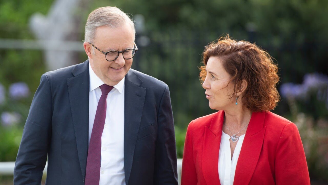 Chris Kenny checks Albanese's claim about average by-election swing