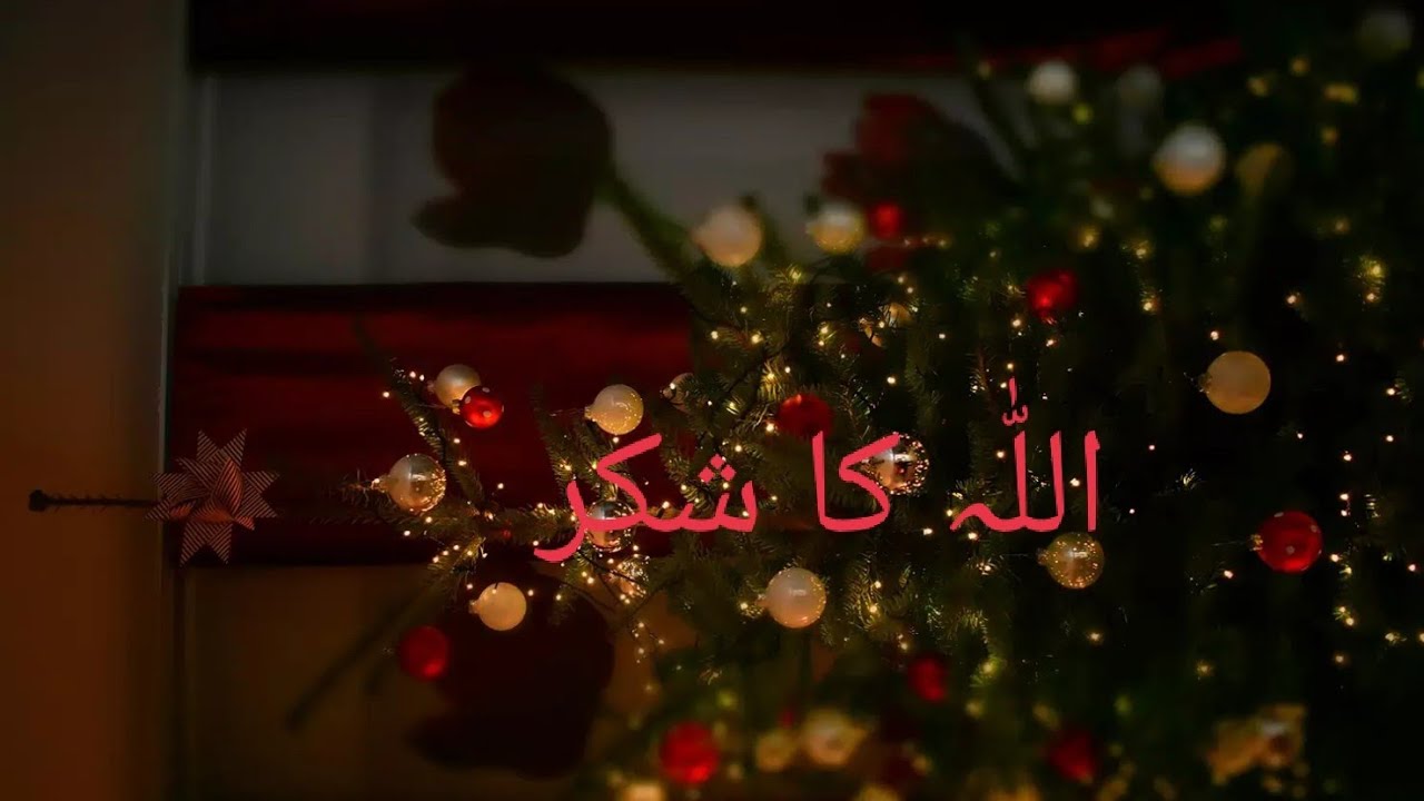 اللہ کا شکر ادا کرو۔ القرآن