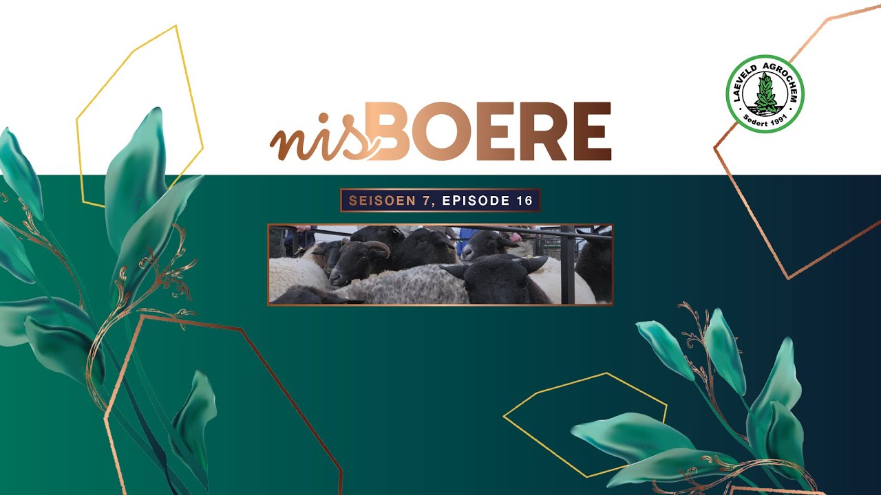 Nisboere 7 | Episode 16 – Agri Skills Transfer