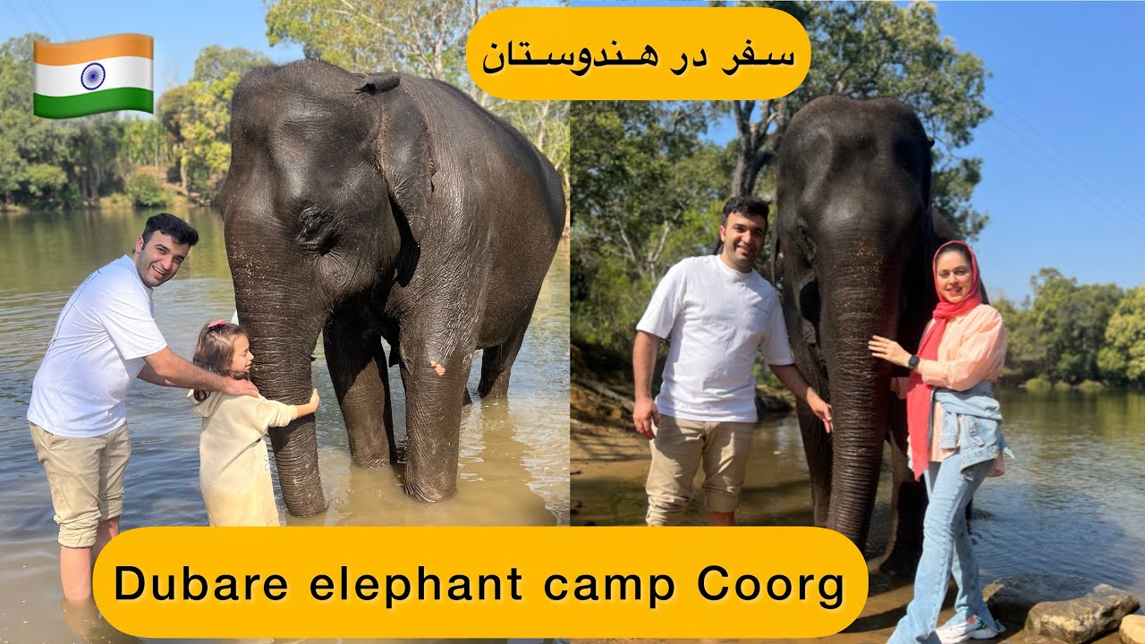 Foreignerfamily🇮🇷visiting 🇮🇳Dubare elephant camp/A day out with elephants\ Coorg tourism #coorg