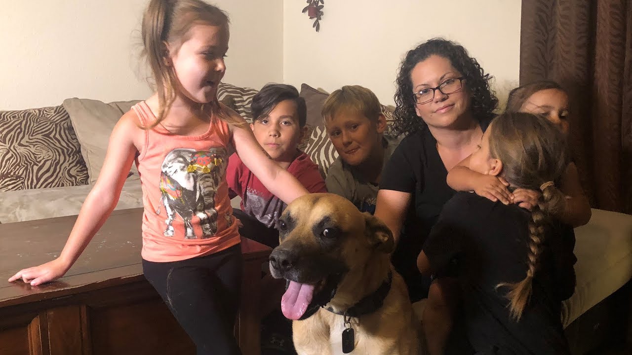 Carr Fire: Woman thanks firefighter who saved this Redding family's dog