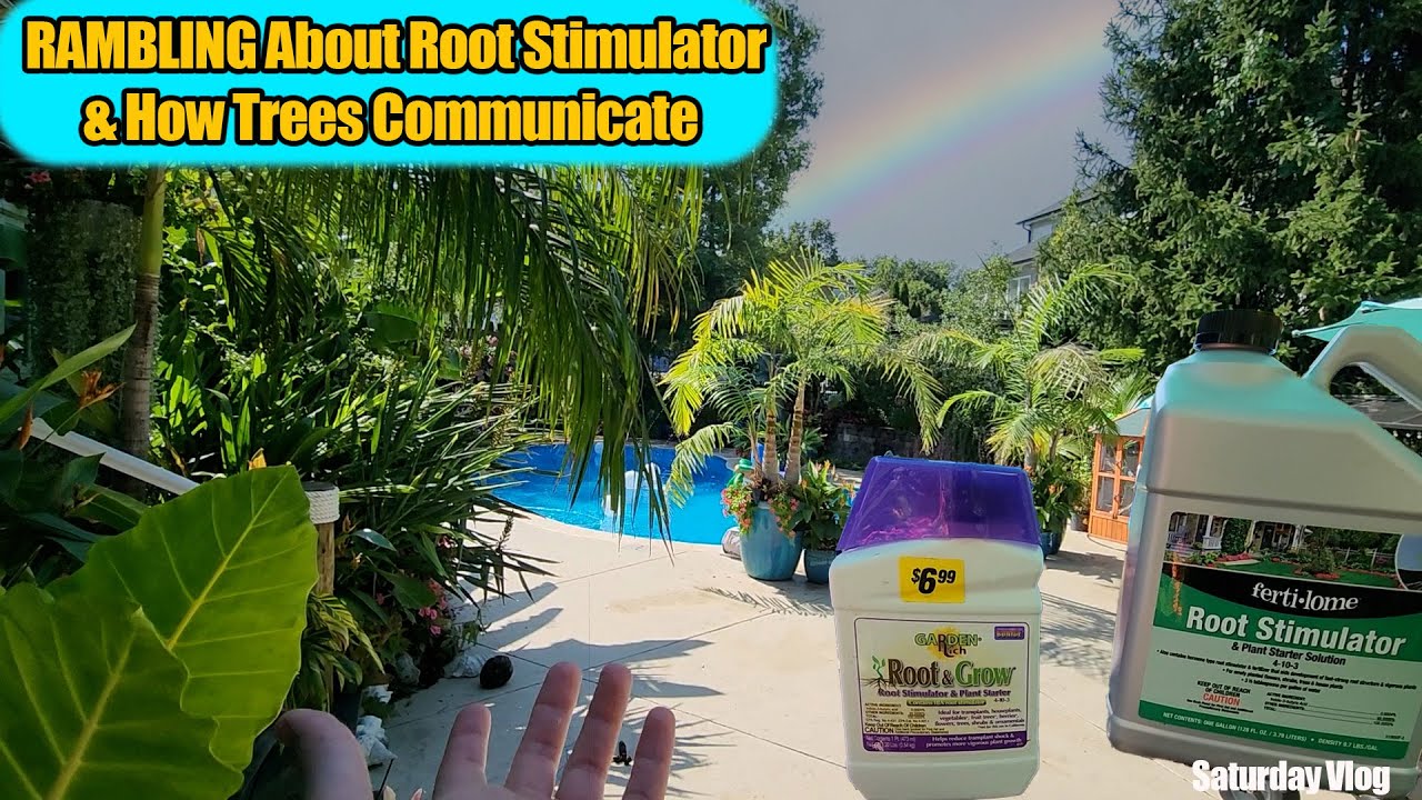 Applying Root Stimulator & Talking About Nerdy Plant Stuff || Saturday Vlog