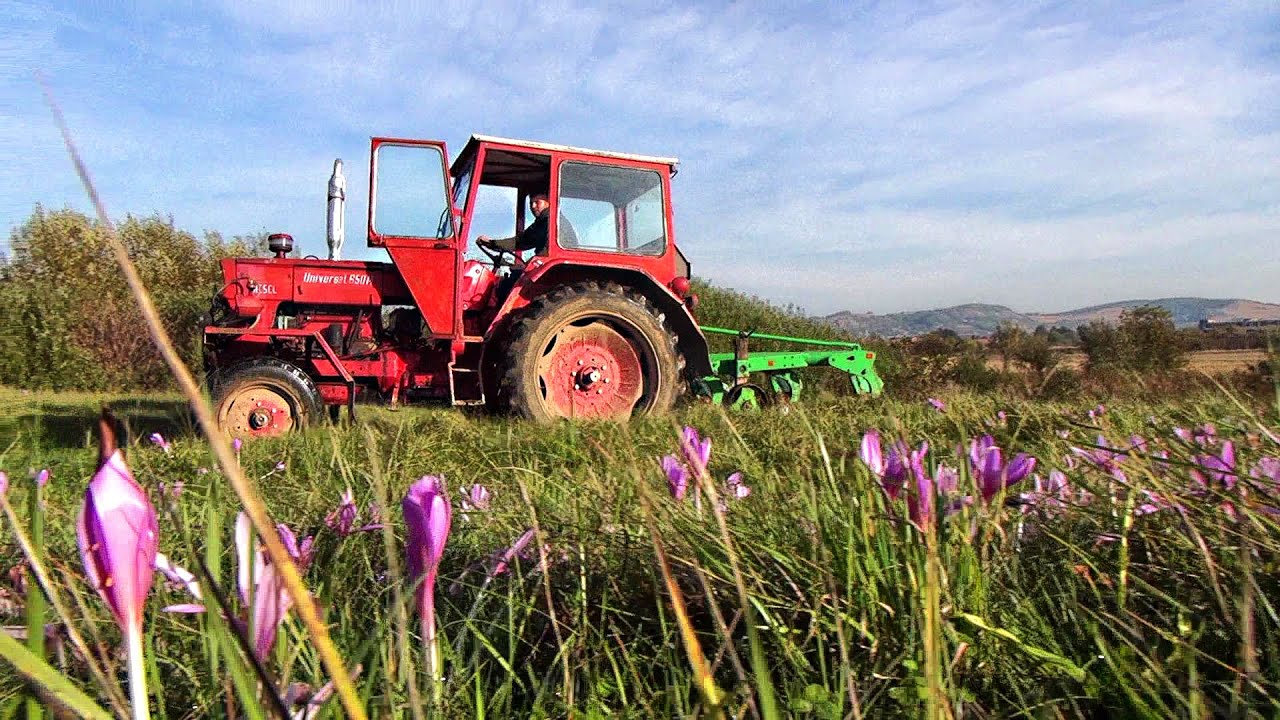 La arat cu tractorul UNIVERSAL 650 M, fabricație 1973