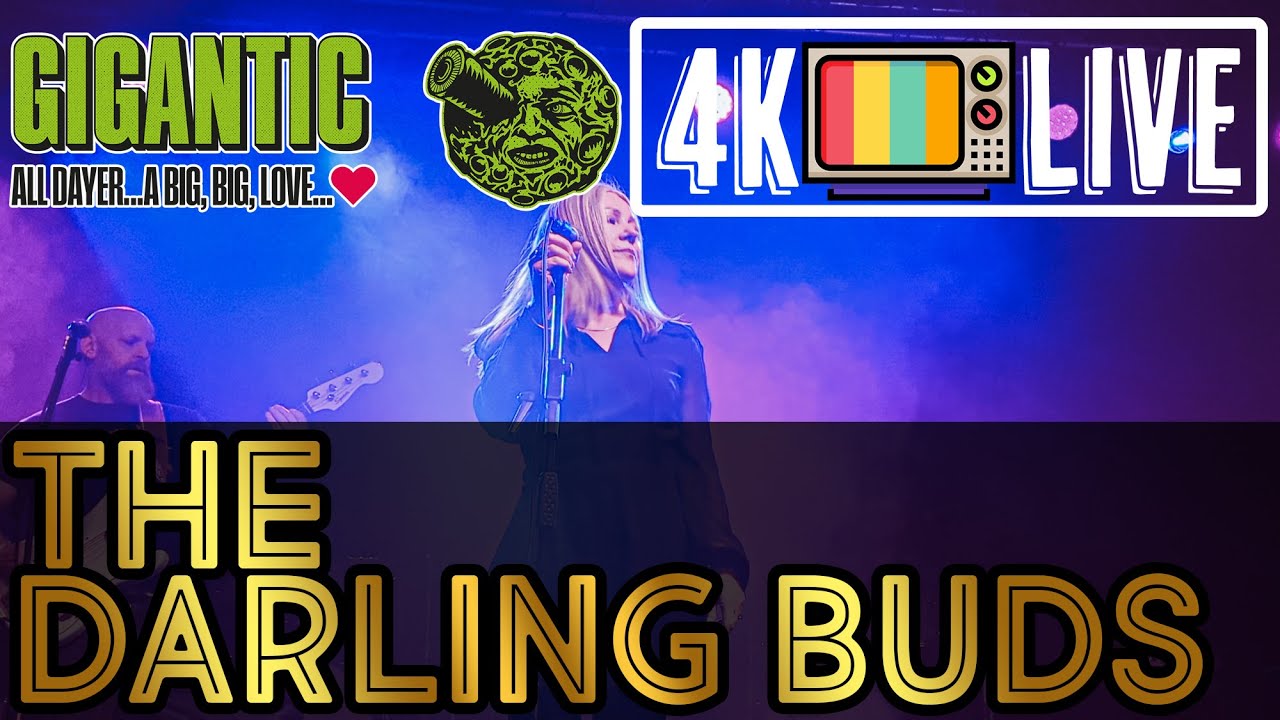 The Darling Buds - It makes no difference, live 4k Bristol 2025
