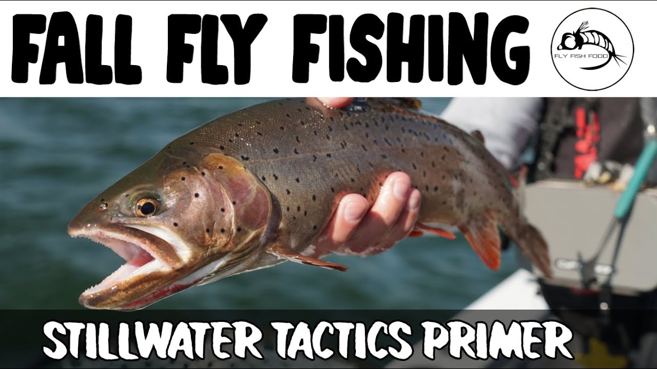 Tips for Fly Fishing Stillwater in the Fall