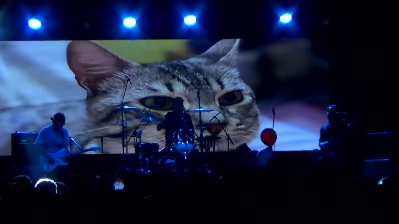 Estoy Bien - Piel + Ahora (Aniversario 'Apoyo Emocional' - Sala Metrónomo - 07.12.2024)
