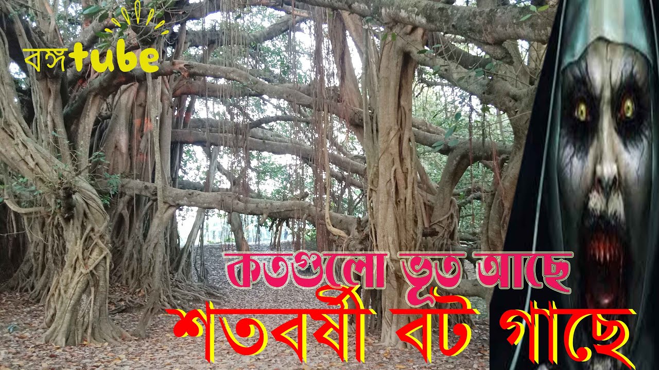 শতবর্ষী বটগাছের ইতিহাস_Documentary on Banyan Tree_বঙ্গtube