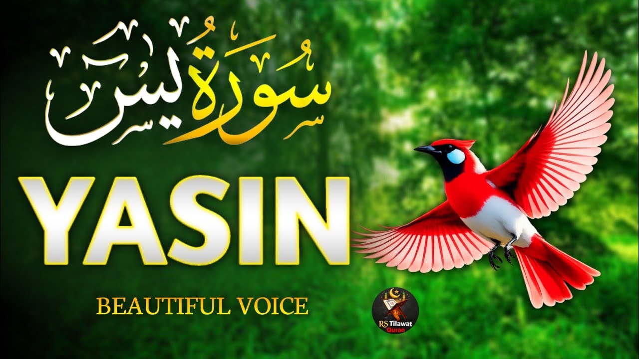 Surah Yasin (Yaseen) سورة يس | Full With Arabic Text | Sheikh Alaa Aqel | Beautiful Tilawat 