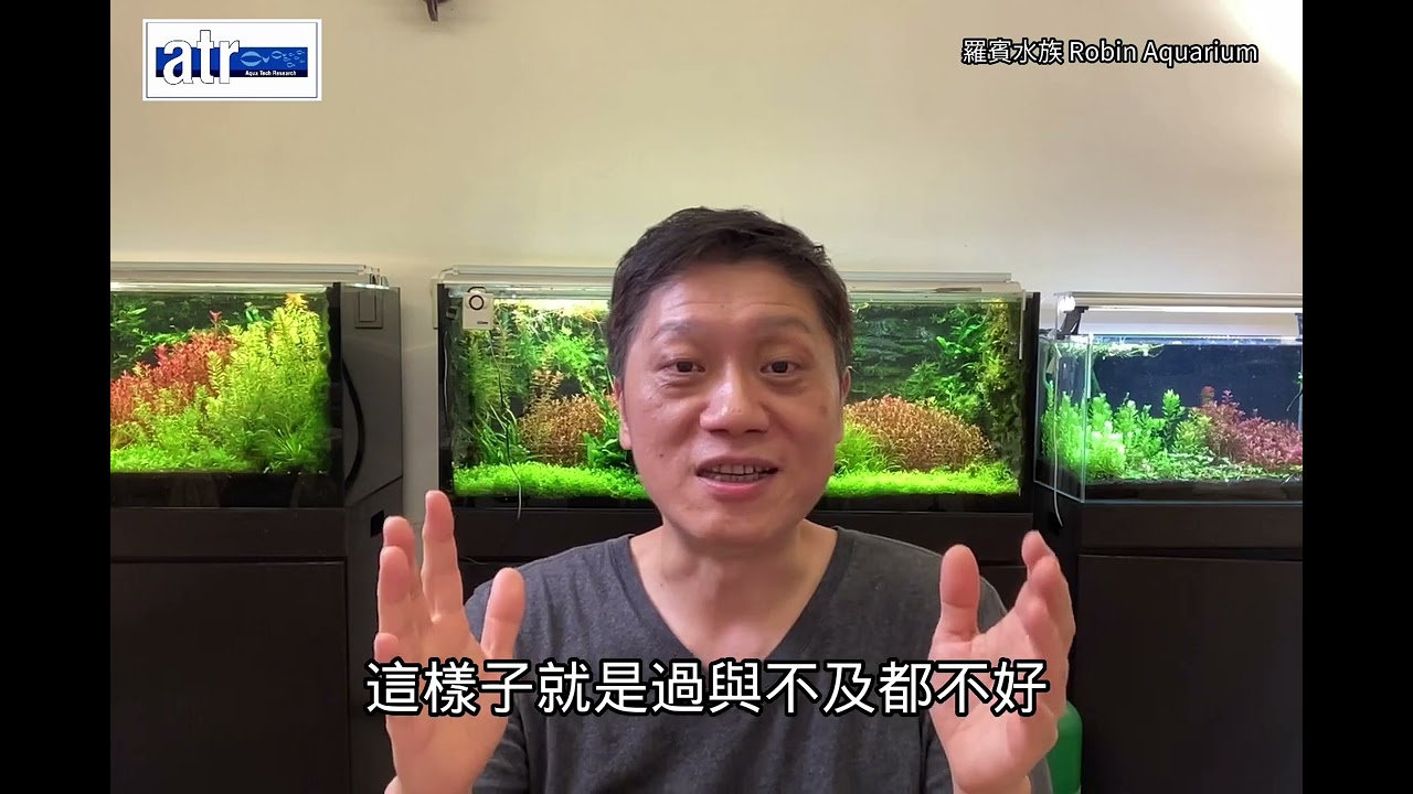 水流對水草的成長的影響是超乎你想像！