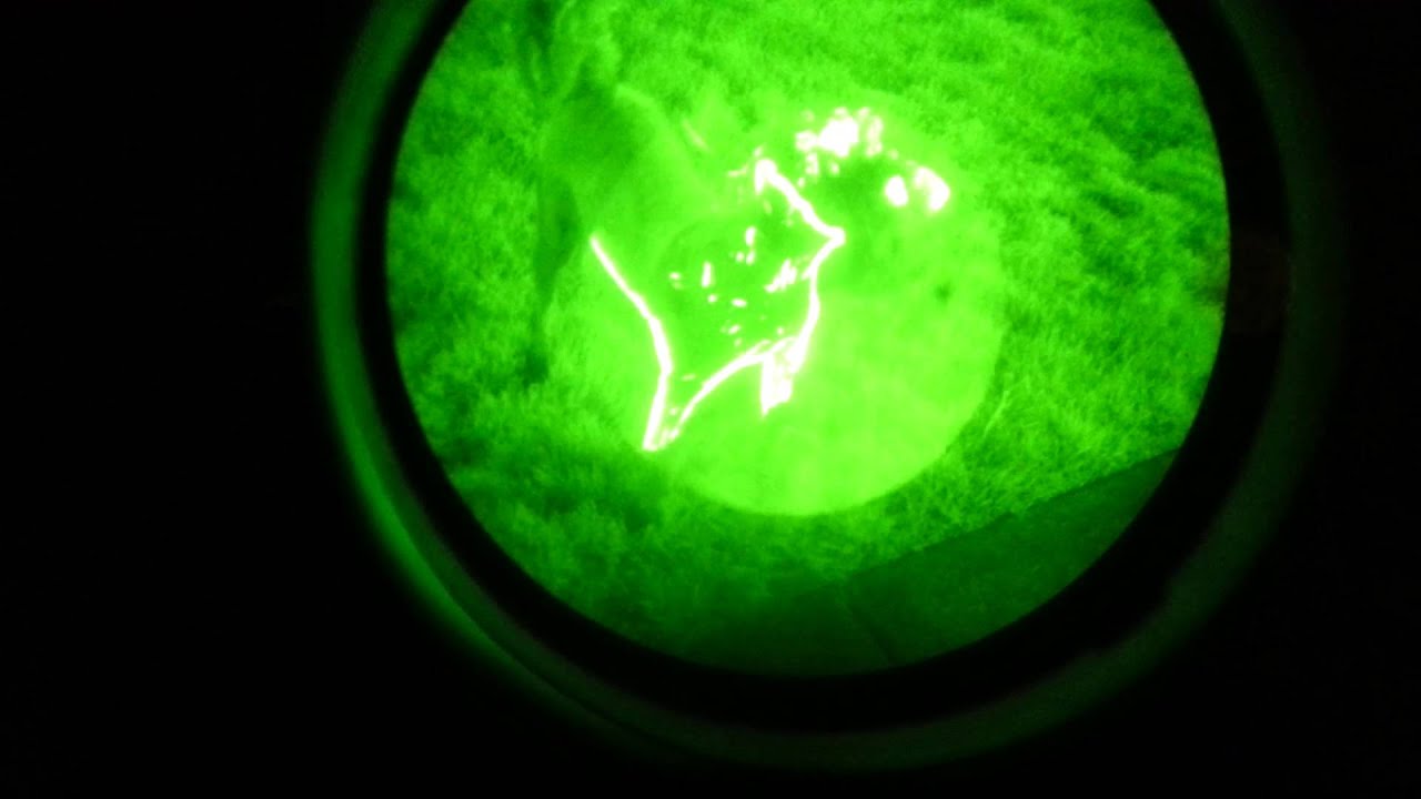 TACS-M + PVS-7