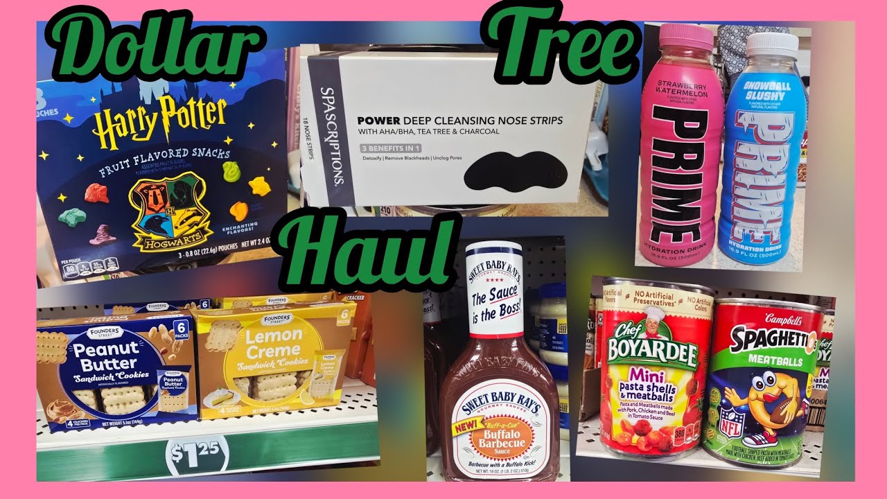 Saturday Snowy Dollar Tree Haul. 