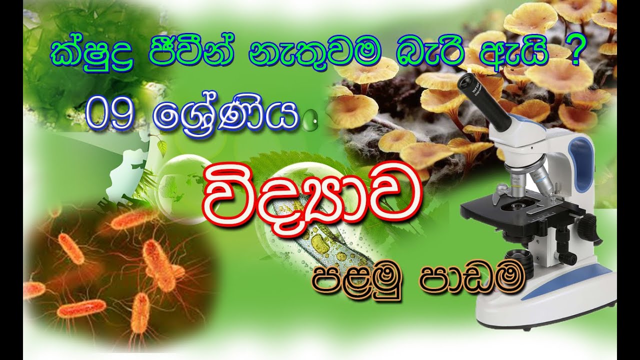 Grade 9 Science First lesson - Part 01 (09 ශ්‍රේණිය - විද්‍යාව - පළමු පාඩම - 01 කොටස)