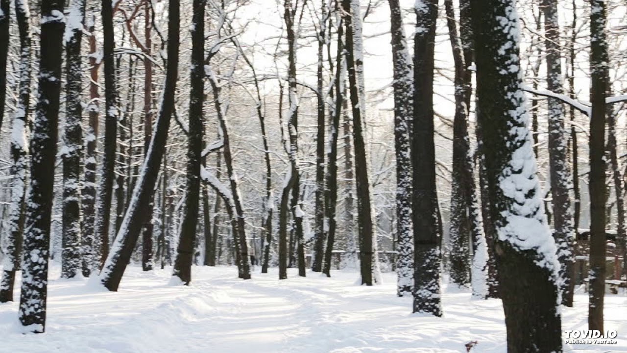 Tinshill Estate: December