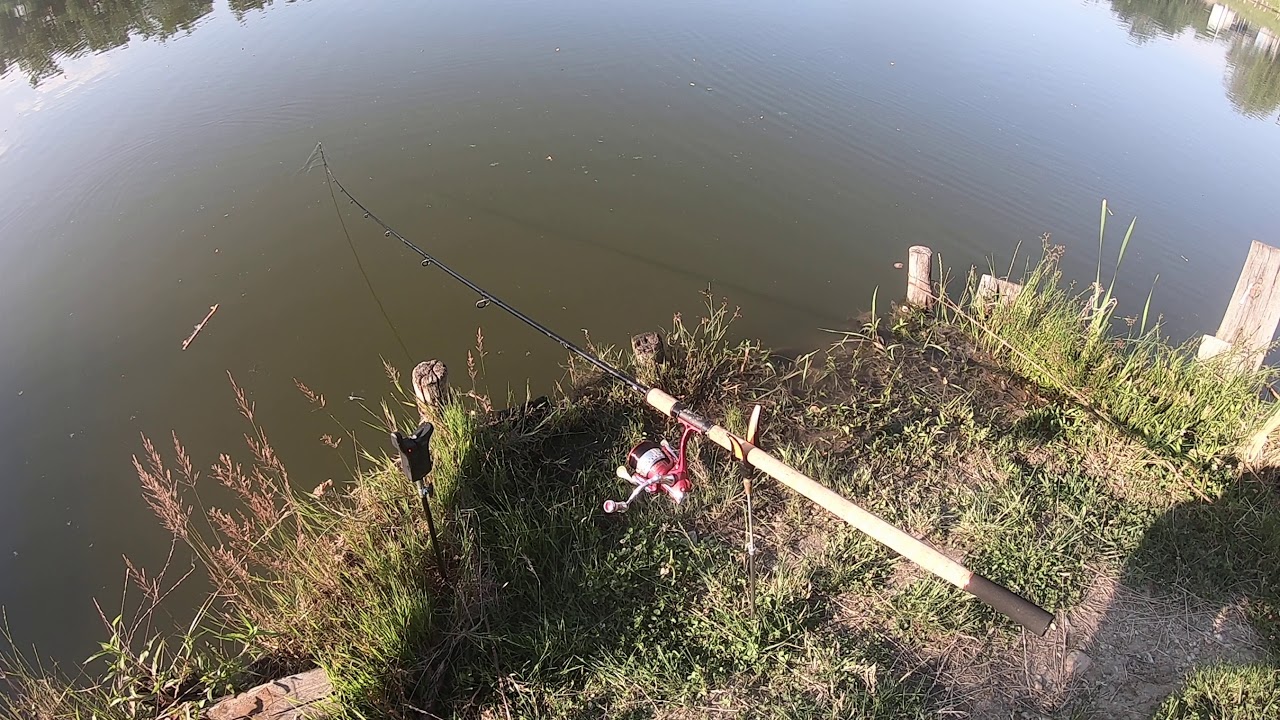 pescaria waldy carp run 2
