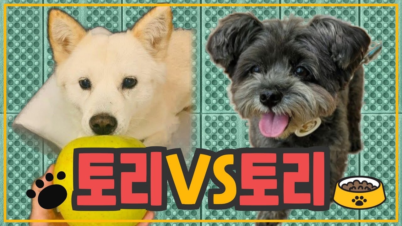 임경빈 X 전민기 출연 | 돈 안 빌려줄 것 같은 사람은? '안철수 VS 김남국' [짤짤이쇼 라이브 170화 2부]