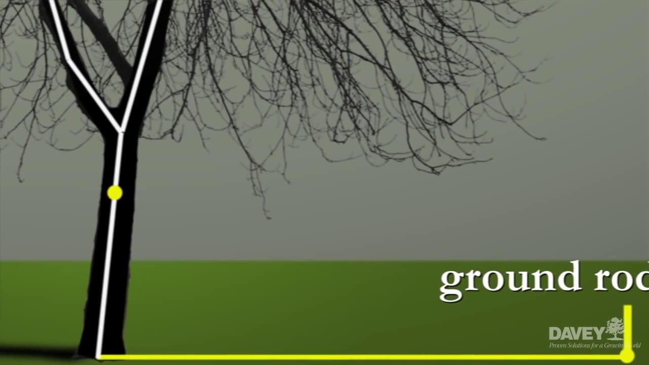 Tree Lightning Protection System