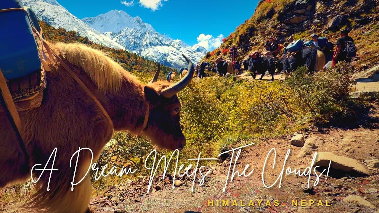 A Dream Meets The Whispering Clouds - Himalayas, Nepal (EBC)