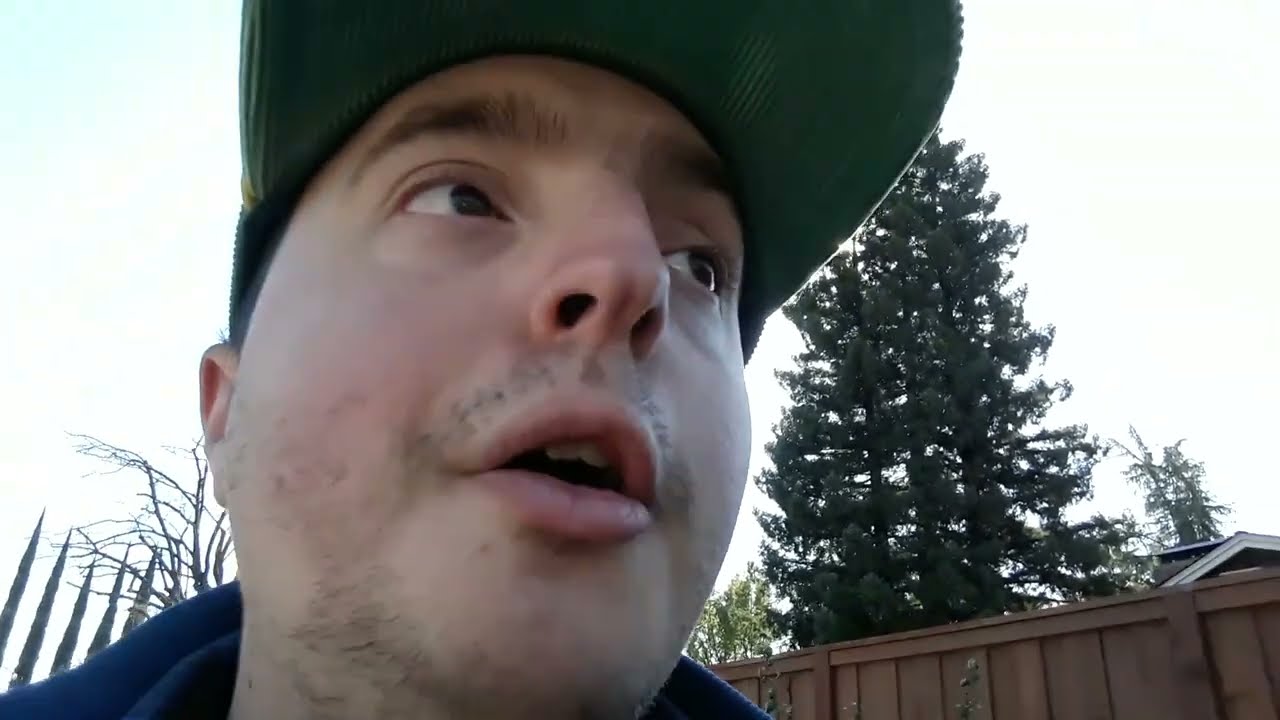 Fries101Reviews Weekly Update 