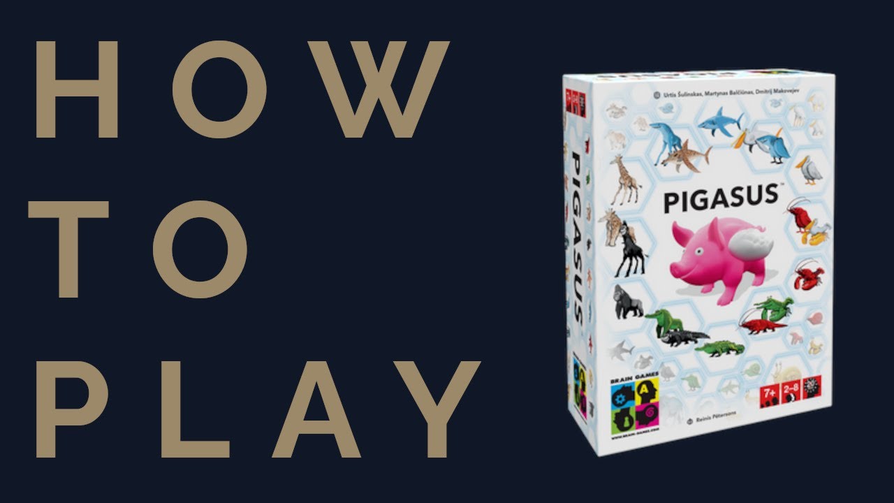 How to PLAY Pigasus | Rules and Review