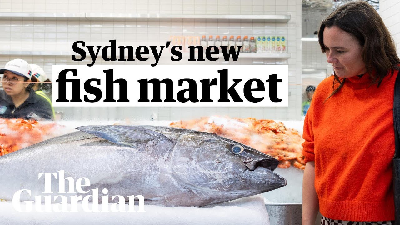Sydney fish market 'smells cleaner' but prices 'way too high' as public get a first taste
