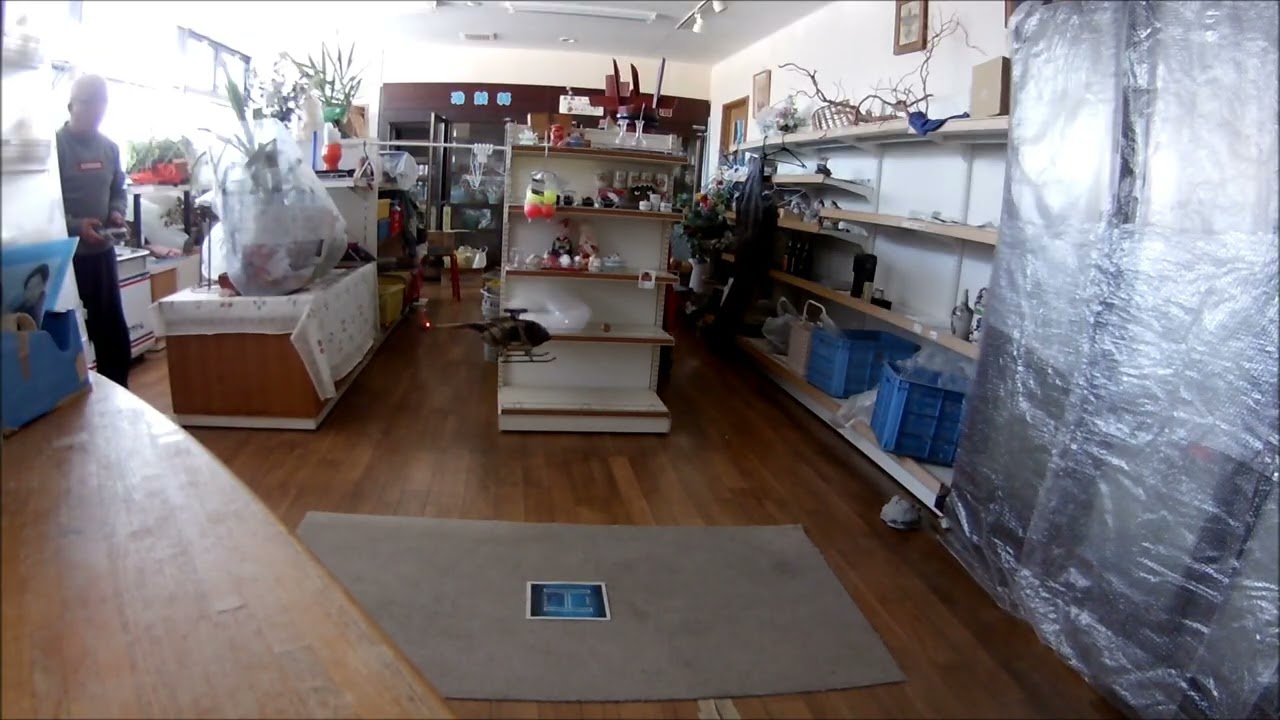 RC ERA C189 MD500 箱だしフライトやってみた！