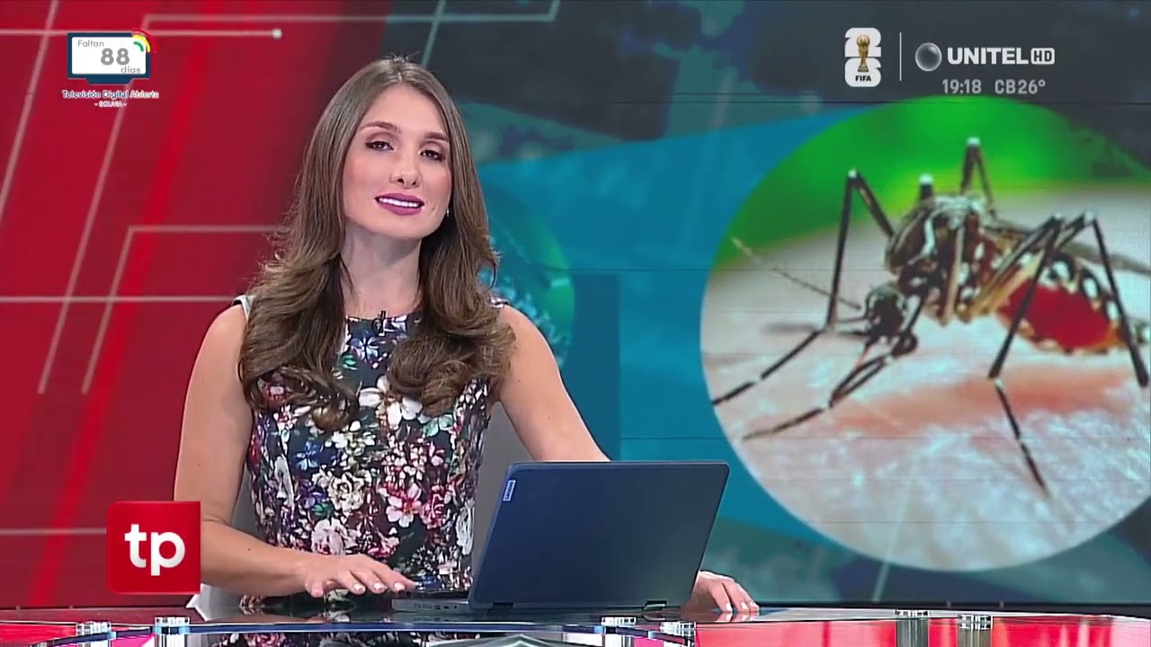 ​COED anuncia minga de limpieza para combatir el chikungunya este fin de semana en Santa Cruz
