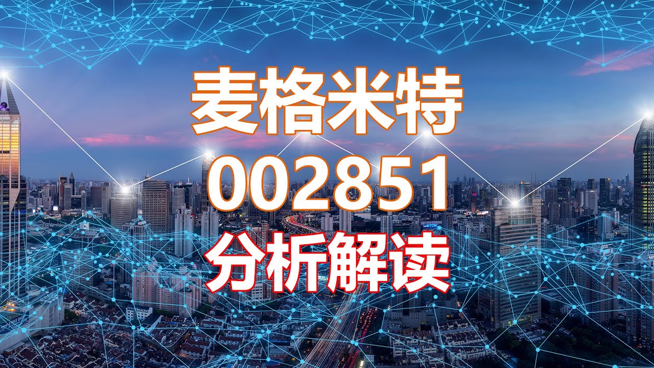 解读分析一家公司 麦格米特002851 HankView