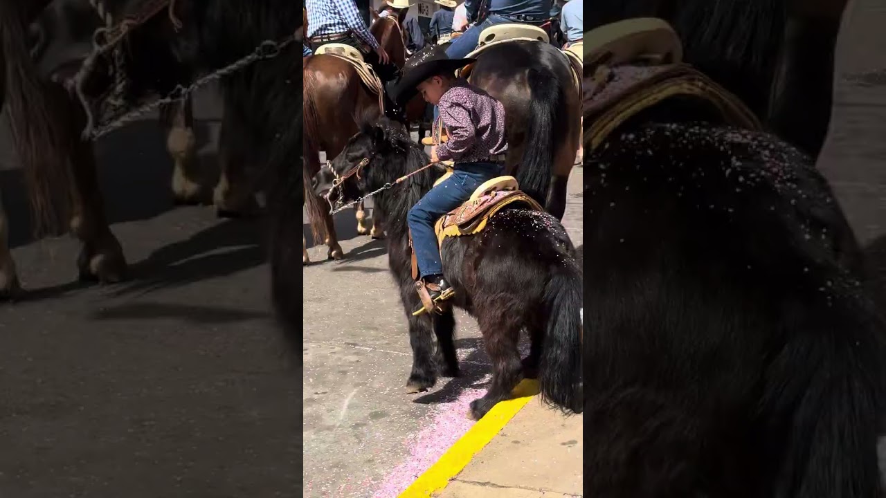 ￼￼ Acuitzio del canje ￼ tradicional cabalgata