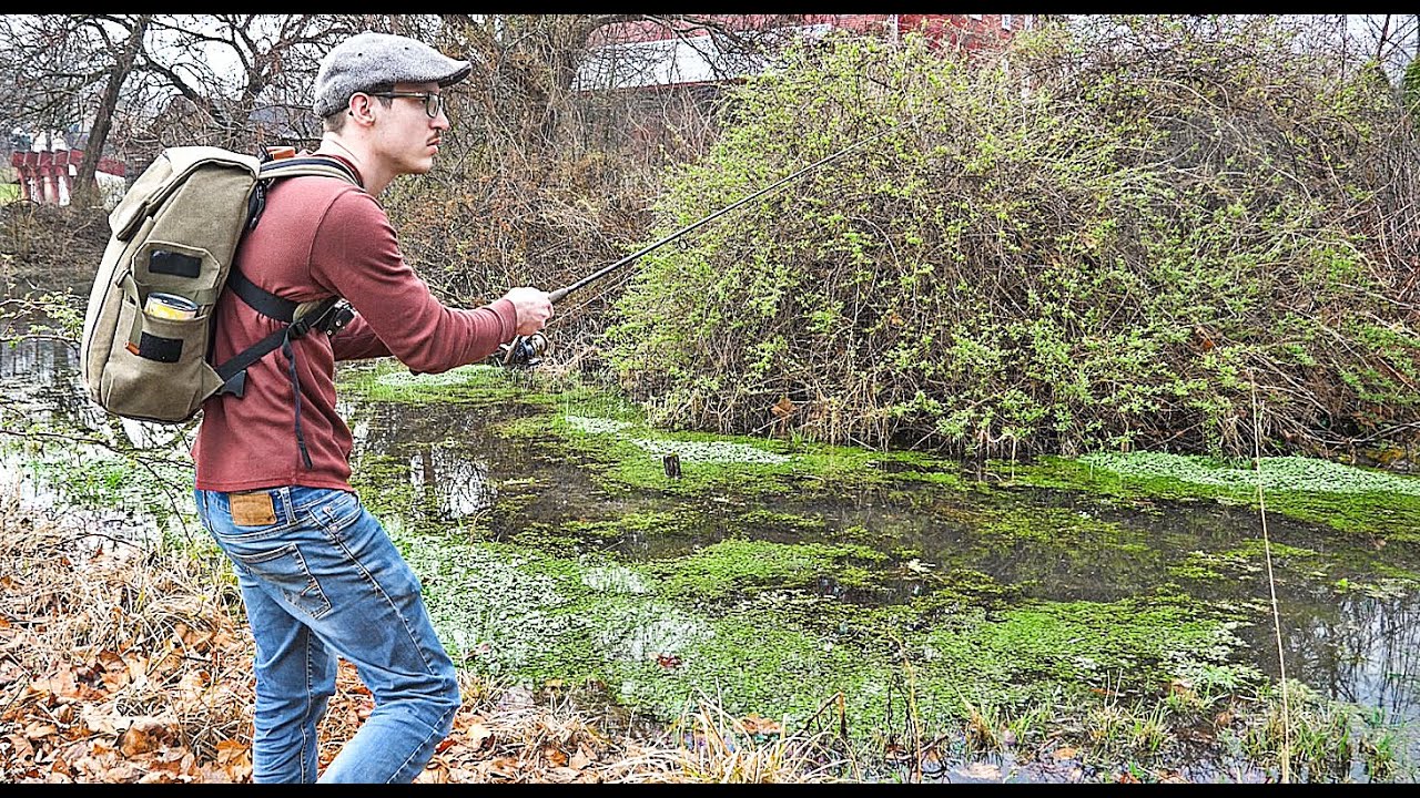 Fishing for Carp in a Ditch!