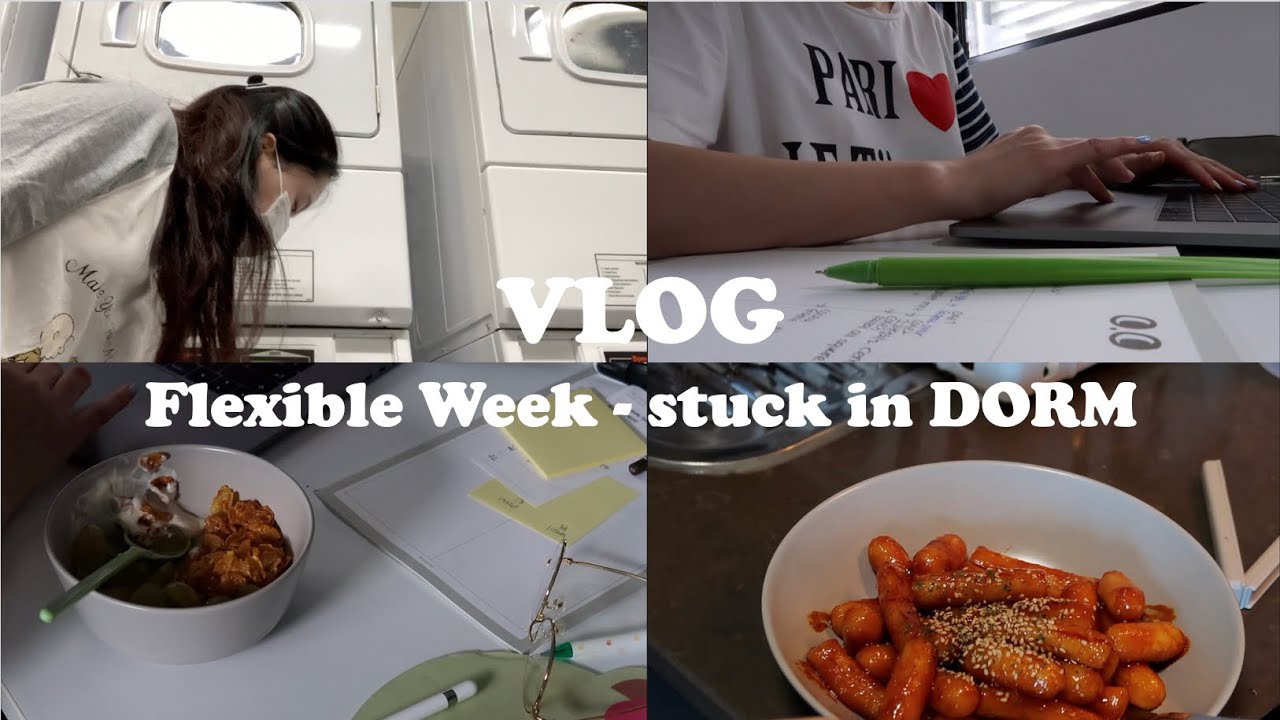 (eng) vlog | 교환왔는데 기숙사에 갇혔어요 근데 중간고사임 | 호주 교환학생, 시드니 일상 | vlog64