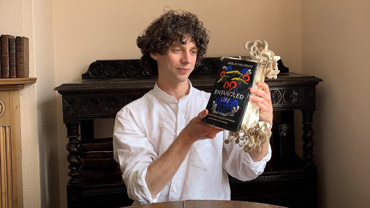 Fascinated By Fungi Live: Dr. Merlin Sheldrake Q&A Session