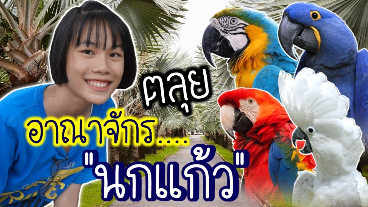 สวนปาล์มฟาร์มนก... ถึงกับเสียน้ำตา!!!