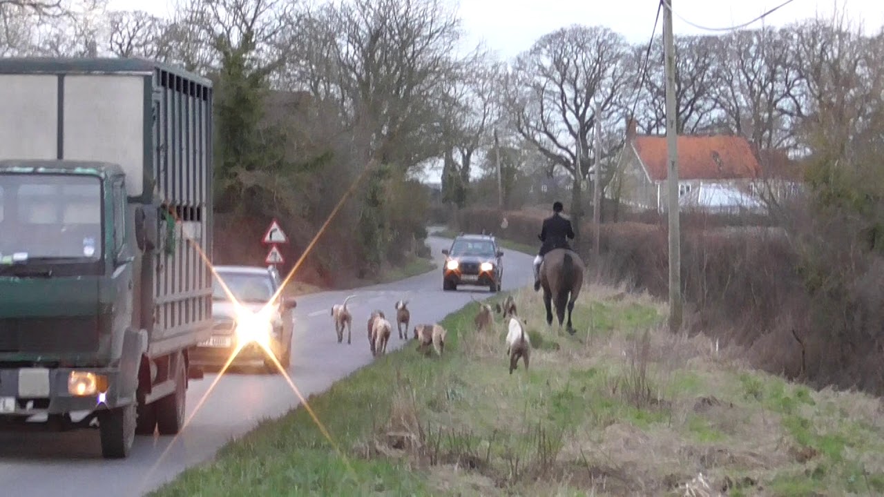 Portman Hunt 7 Feb 2018