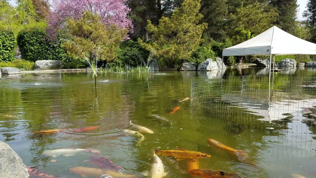 BEAUTIFUL JAPANESE FRIENDSHIP GARDENS