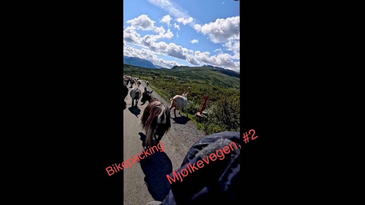 Bikepacking Mjølkevegen, #2