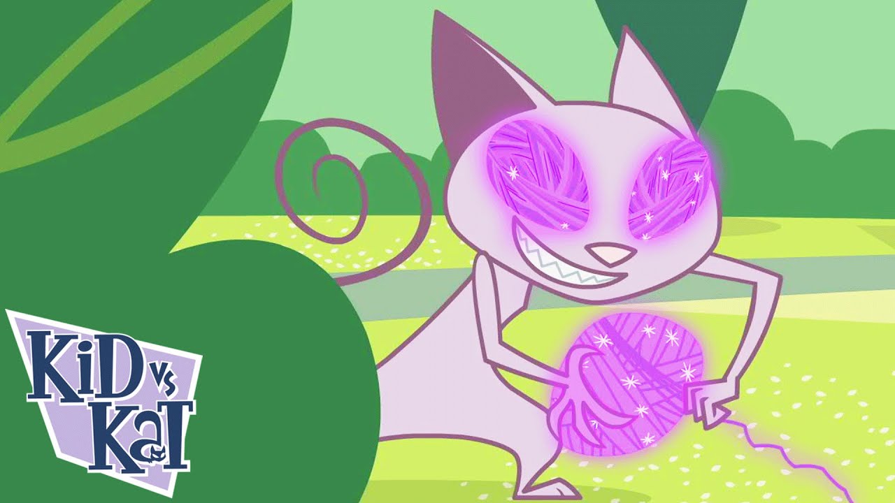 Nunca llores oveja | Niño Vs. Gato - WildBrain | Películas para niños