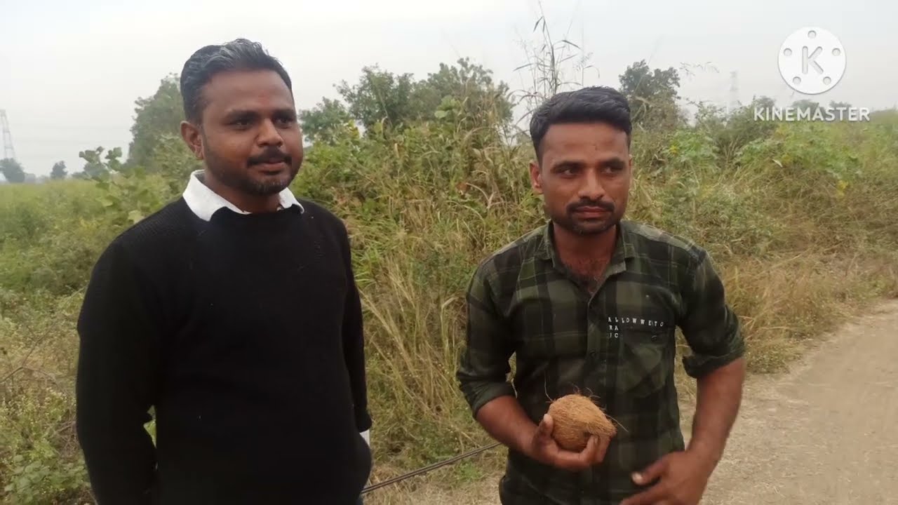 99% पाणी मिलेगा # how to find groundwater #panadi  #Nariyal