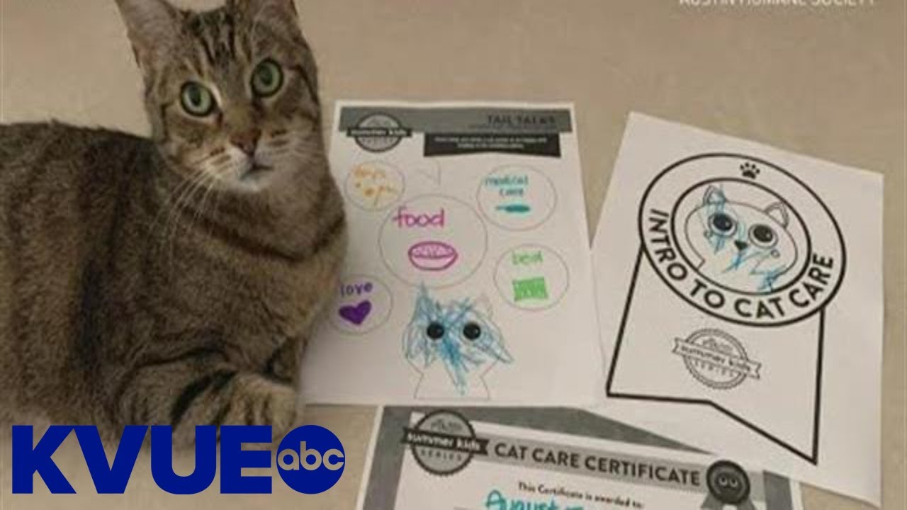 Austin Humane Society teaching kids how to care for animals | KVUE